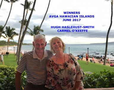 Hawaii 2017 Winners 
